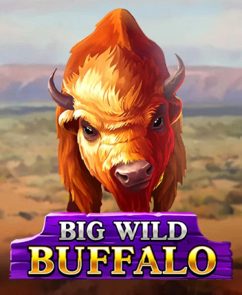 Play Big Wild Buffalo at Spin It Casino
